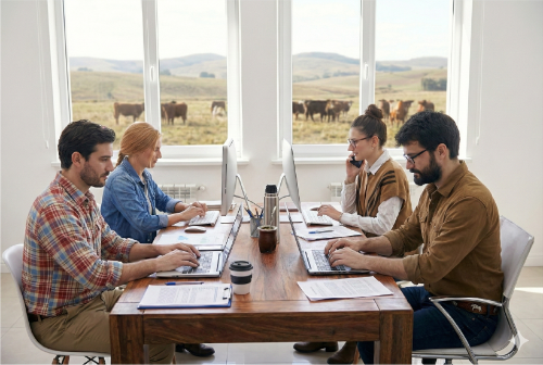 Imagen del curso Rutina Mensual